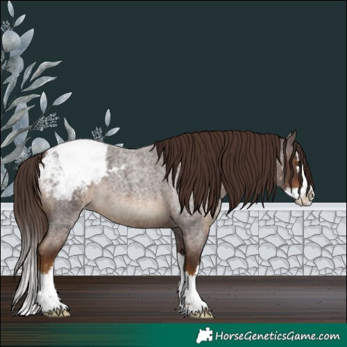 Horse Color:Liver Red Roan Splash Snowcap
