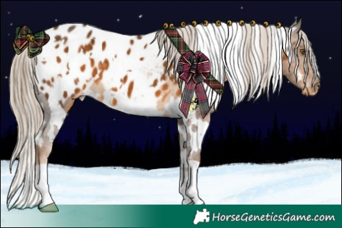 Horse Color:White Spotted Chocolate Palomino Blanket