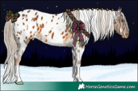 Horse Color:White Spotted Chocolate Palomino Blanket