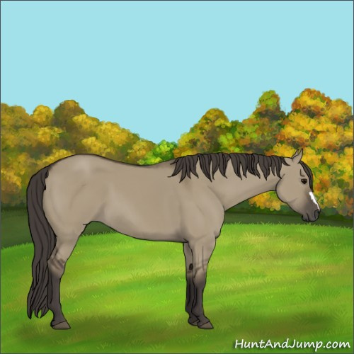 Horse Color:Smoky Grullo 