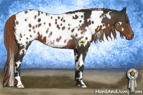 Horse Color:White Spotted Liver Chestnut Appaloosa 