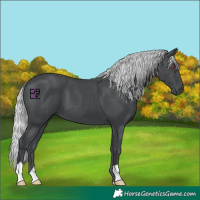 Horse Color:Silver Black Chinchilla