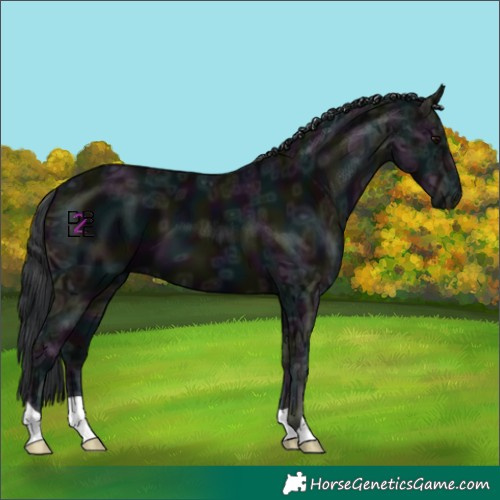 Horse Color:Midnight Black Ice
