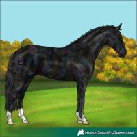 Horse Color:Midnight Black Ice 