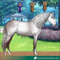 Horse Color:Gray Chocolate Black