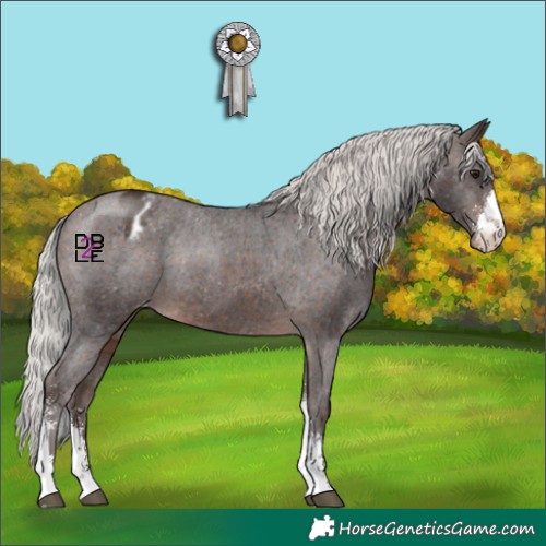 Horse Color:Silver Brown Mushroom Sabino Appaloosa 