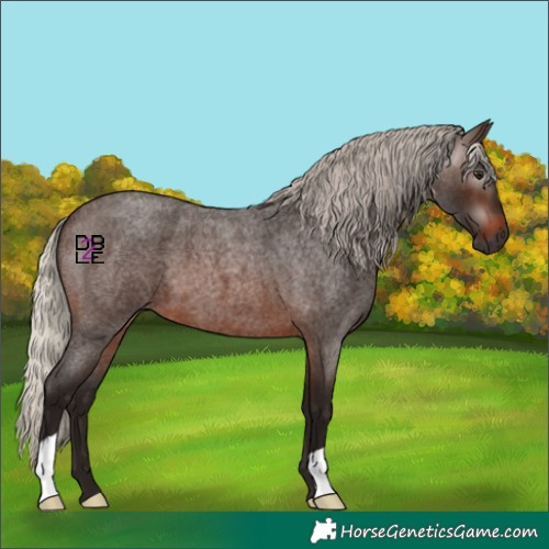 Horse Color:Gray Silver Brown Roan 