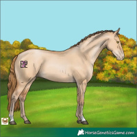 Horse Color:Bay Pearl Dun