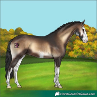 Horse Color:White Spotted Brown Onyx 