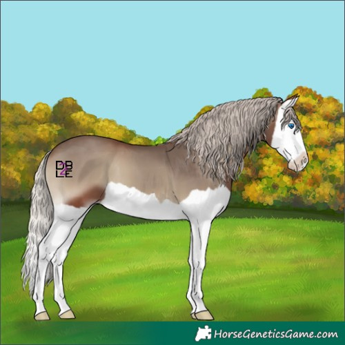 Horse Color:Silver Blue Onyx Splash