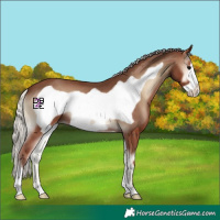 Horse Color:Silver Blue Onyx Frame