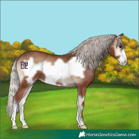 Horse Color:Silver Blue Onyx Frame 