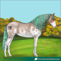 Horse Color:Painted Silver Brown Roan Dun Sabino 