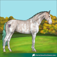 Horse Color:Painted Silver Brown Roan Dun Sabino