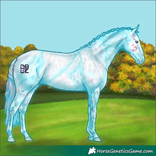 Horse Color:Thunderstruck Buckskin Roan Pearl Near Leopard 