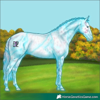 Horse Color:Thunderstruck Buckskin Roan Pearl Appaloosa 