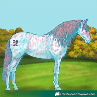 Horse Color:Thunderstruck Buckskin Roan Pearl Appaloosa 