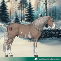 Horse Color:Silver Black Sabino 