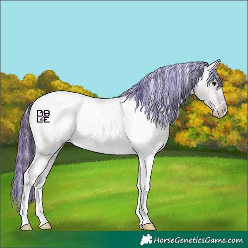 Horse Color:Platinum Painted Brown Roan Dun Tobiano Snowcap 