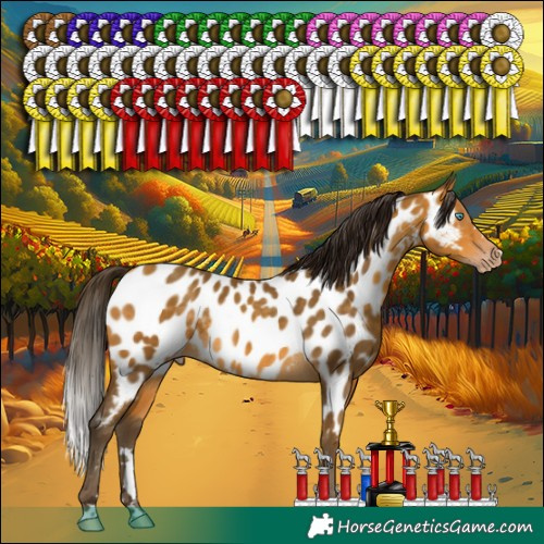 Horse Color:Gray Amber Cream Champagne Near Leopard Rabicano 