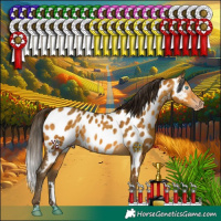 Horse Color:Gray Amber Cream Champagne Appaloosa Rabicano 