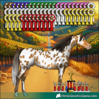 Horse Color:Gray Amber Cream Champagne Appaloosa Rabicano 