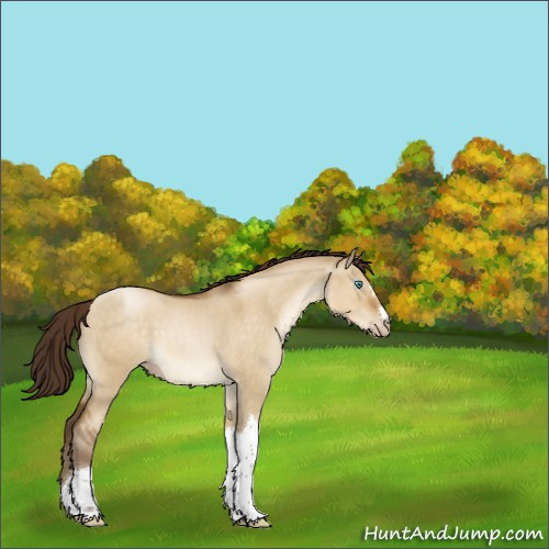 Horse Color:Gray Smoky Grullo Roan Pearl 