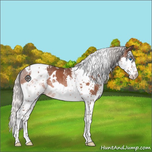 Horse Color:White Spotted Silver Brown Splash Tobiano Rabicano 