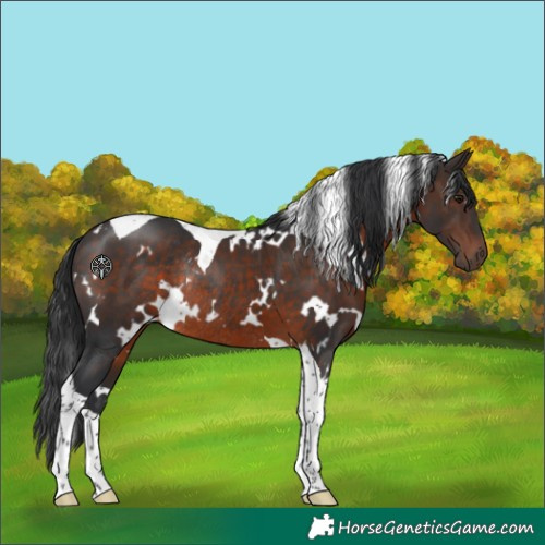 Horse Color:White Spotted Brown Mushroom Tobiano Rabicano 