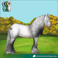 Horse Color:Gray Brown Mushroom Tobiano