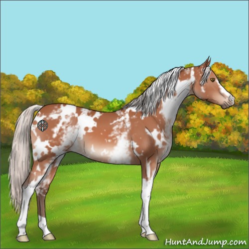 Horse Color:White Spotted Silver Bay Mushroom 