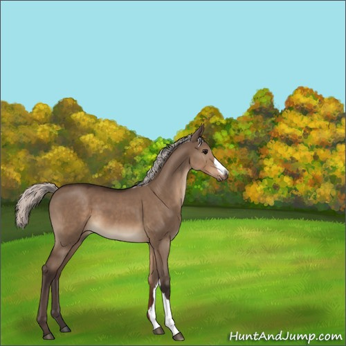 Horse Color:Silver Brown Dun 