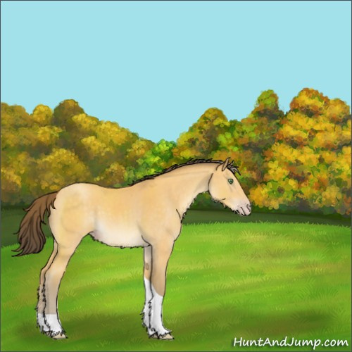 Horse Color:Amber Cream Champagne Tobiano 