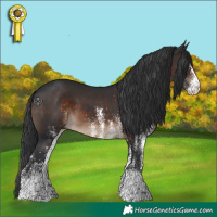Horse Color:White Spotted Brown 