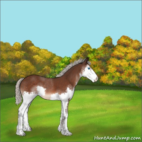 Horse Color:Silver Brown Splash 