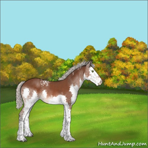 Horse Color:White Spotted Silver Brown Splash 
