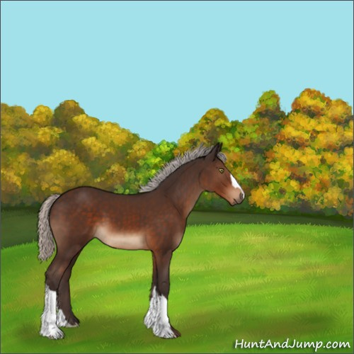 Horse Color:Silver Brown 