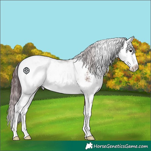 Horse Color:Chocolate Brown Dun Sabino 