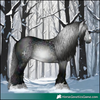 Horse Color:Gray Midnight Black 