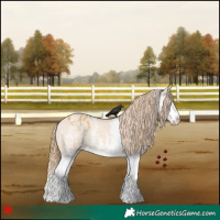 Horse Color:White Spotted Red Dun Splash Varnish 