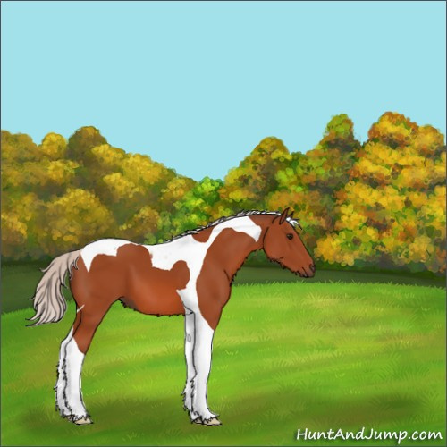 Horse Color:Silver Bay Tobiano