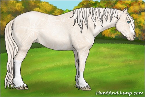 Horse Color:Gold Cream Champagne Ice Pearl 