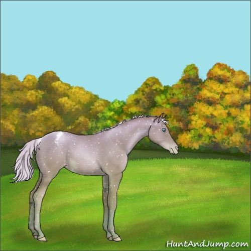 Horse Color:Silver Classic Champagne Pearl Snowflake Varnish 