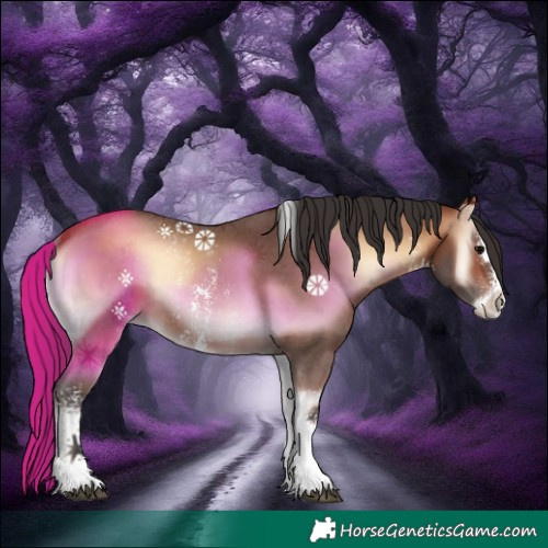 Horse Color:Bay Onyx Sabino Rabicano 