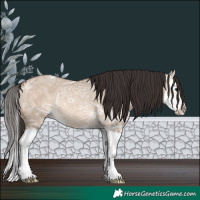 Horse Color:Bay Ice Dun Splash Rabicano 