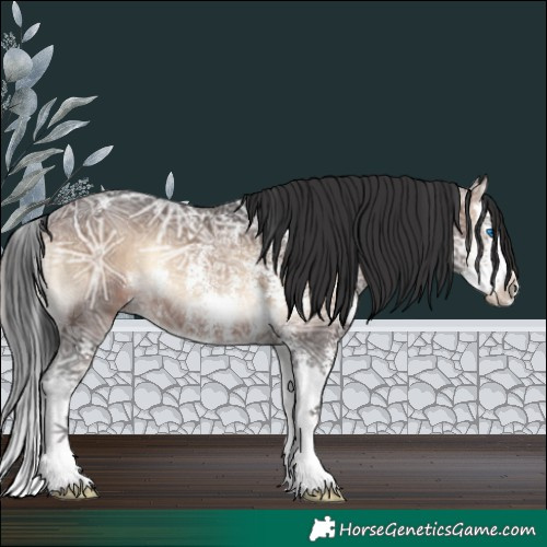 Horse Color:Brown Ice Onyx Sabino Splash Rabicano 