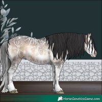 Horse Color:Brown Ice Onyx Sabino Splash Rabicano 