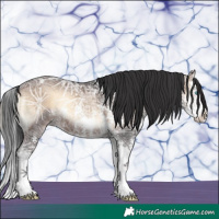 Horse Color:Brown Ice Onyx Sabino Splash Rabicano 