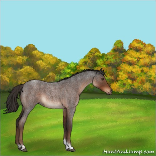 Horse Color:Liver Red Roan Tobiano 