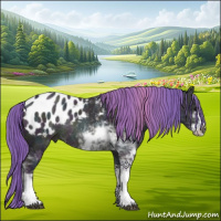 Horse Color:Watercolor Midnight Bay Ice Dun Sabino Appaloosa Rabicano 
